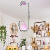 ROSEWAY Pendant Light pink, 1-light source