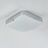 HUTTON Ceiling Light LED chrome, 1-light source