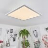 BARASAT Ceiling Light LED white, 1-light source