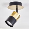 BARASAT Ceiling Light brass, black, 1-light source