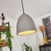 STETTLER Pendant Light black, 1-light source