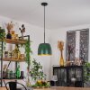 VIKING Pendant Light green, 1-light source