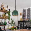 VIKING Pendant Light green, 1-light source