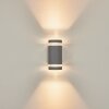 INGLEWOOD Outdoor Wall Light silver, 2-light sources