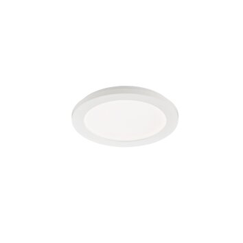 Fischer & Honsel GOTLAND Ceiling Light LED white, 1-light source