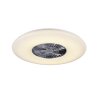 Reality VISBY fan LED chrome, 1-light source, Remote control