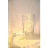 Globo rope lights LED silver, 20-light sources