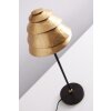 Holländer SNAIL ONE table lamp brown, gold, 1-light source