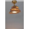Holländer SNAIL ceiling spotlight gold, 1-light source