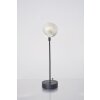 Holländer PICCOLA NAUTILO table lamp black, silver, 1-light source