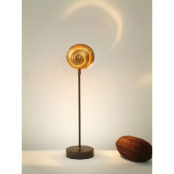 Holländer PICCOLA NAUTILO table lamp brown, gold, 1-light source