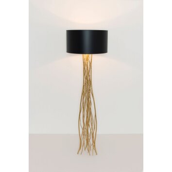 Holländer CAPRI table lamp gold, 1-light source