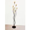 Holländer CALAMARO Floor Lamp brown, gold, black, 8-light sources