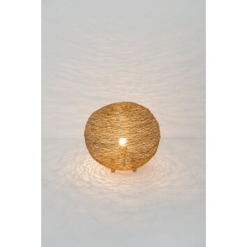 Holländer CAMPANO MEDIUM Table Lamp gold, 1-light source