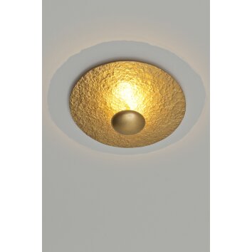 Holländer POLPETTA Ceiling light LED gold, 2-light sources