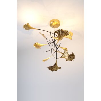 Holländer GRACIOSO Pendant Light LED gold, 6-light sources