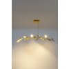 Holländer RISO Pendant Light gold, 11-light sources