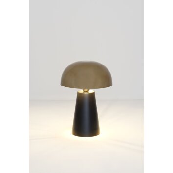 Holländer FUNGO Table lamp gold, black, 1-light source