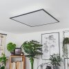 BARASAT Ceiling Light LED black, white, 2-light sources