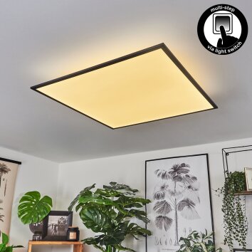 BARASAT Ceiling Light LED black, white, 2-light sources