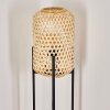 QUINTO Floor Lamp black, 1-light source