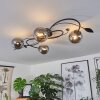 BARASAT Ceiling Light LED black, 4-light sources