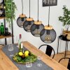 REIDEN Pendant Light black, 4-light sources