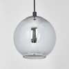 SERNF Pendant Light black, 1-light source