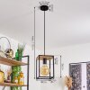 COLEBROOK Pendant Light black, 1-light source