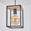 COLEBROOK Pendant Light black, 1-light source