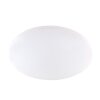 Globo SAJAMA Ceiling Light LED white, 1-light source, Remote control