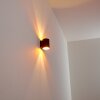 Wall Light Letsbo black-gold, 1-light source