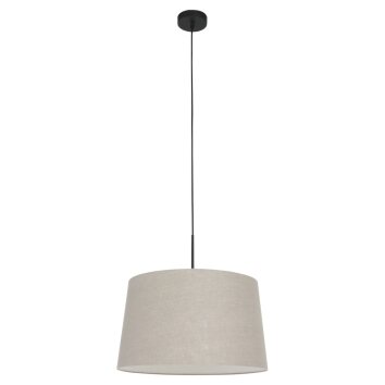 Steinhauer SPARKLED LIGHT Pendant Light black, 1-light source