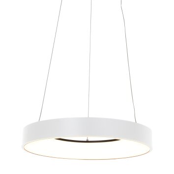 Steinhauer RINGLEDE Pendant Light white, 1-light source