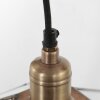 Steinhauer PIMPERNEL Pendant Light bronze, 1-light source