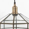 Steinhauer PIMPERNEL Pendant Light bronze, 1-light source