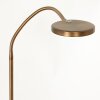 Steinhauer PLATU Floor Lamp LED bronze, 1-light source