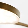Steinhauer PLATU Floor Lamp LED bronze, 1-light source