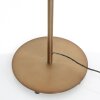 Steinhauer PLATU Floor Lamp LED bronze, 1-light source