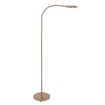 Steinhauer PLATU Floor Lamp LED bronze, 1-light source
