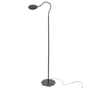 Steinhauer PLATU Floor Lamp LED black, 1-light source