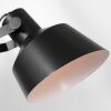 Steinhauer PORTER Wall Light Ecru, black, 1-light source