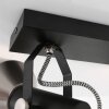 Steinhauer ACIER Ceiling Light black, 2-light sources