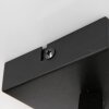 Steinhauer ACIER Ceiling Light black, 2-light sources