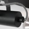 Steinhauer ACIER Ceiling Light black, 2-light sources
