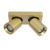 Lucide NIGEL Ceiling Light LED gold, brass, 2-light sources