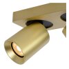 Lucide NIGEL Ceiling Light LED gold, brass, 2-light sources