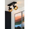 Lucide RAFA Ceiling Light black, 2-light sources