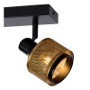 Lucide RAFA Ceiling Light black, 2-light sources