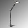 Fischer & Honsel RIKE Table lamp LED black, 1-light source